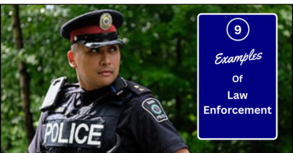 9 Examples of Law Enforcement for Better Understanding