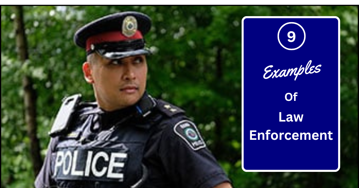 9 Examples of Law Enforcement for Better Understanding – COPJOT Police ...