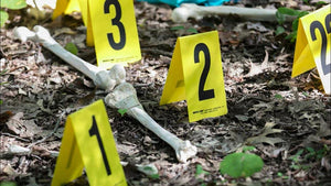 What Classes are Required for a Criminal Justice Degree